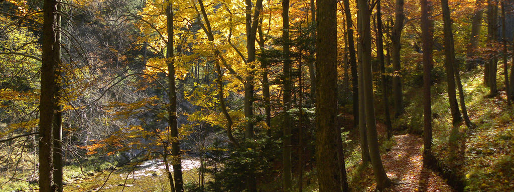 Das Höllental im Herbst