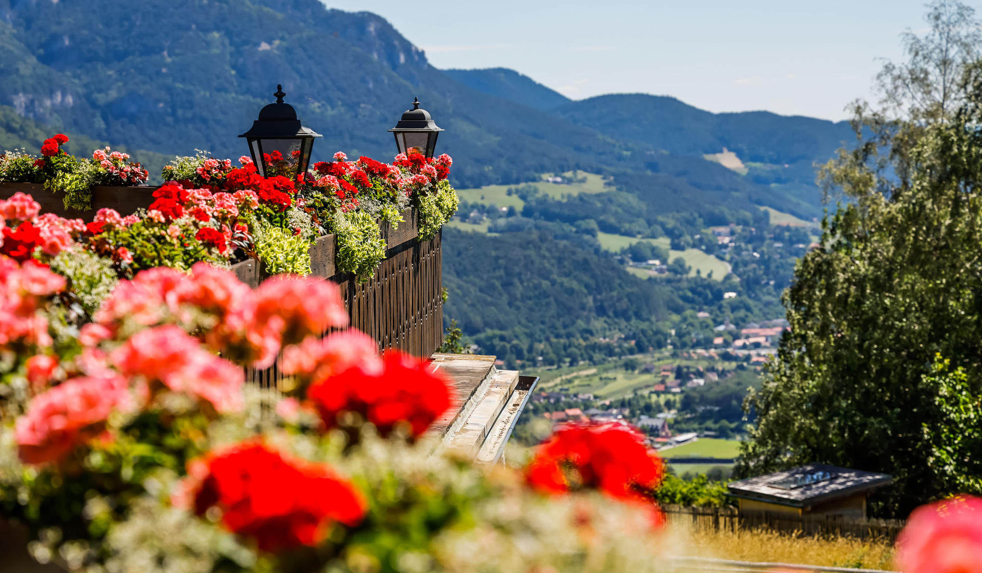 Die schönste Sonnenterrasse Niederösterreichs Die schönste Sonnenterrasse Niederösterreichs