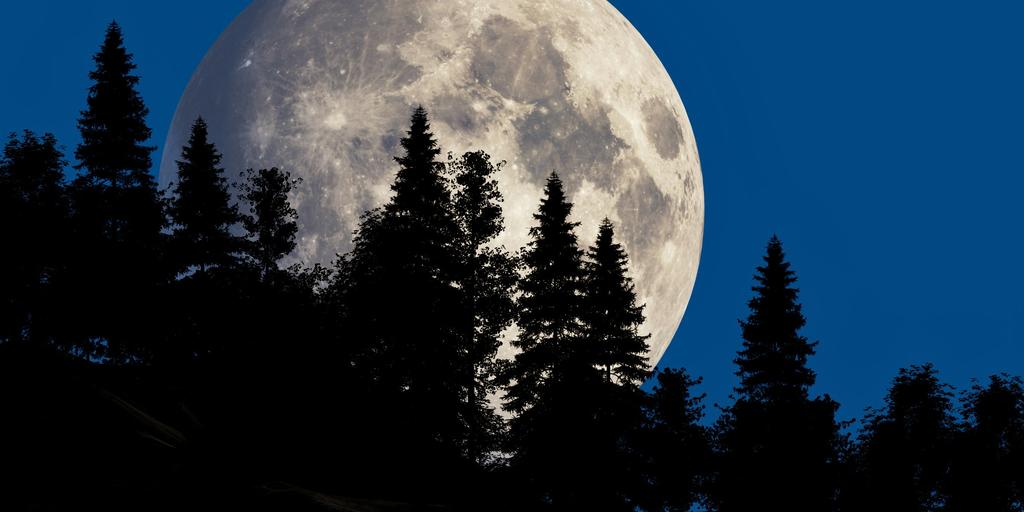 Vollmond, © Igor Omilaev, Unsplash Vollmond, © Igor Omilaev, Unsplash