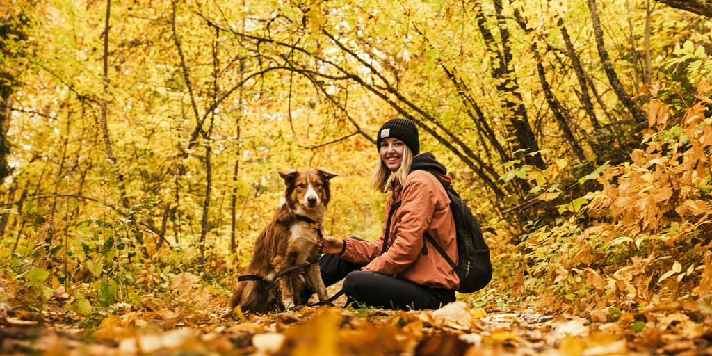 Urlaub mit Hund in den Bergen, © Brayden Prato, Unsplash
