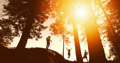 Sommerwanderung © Unsplash, Photo Nic Gegenlichtaufnahme von Wanderern, Silhouetten der Personen und Bäume mit heller Sonne
