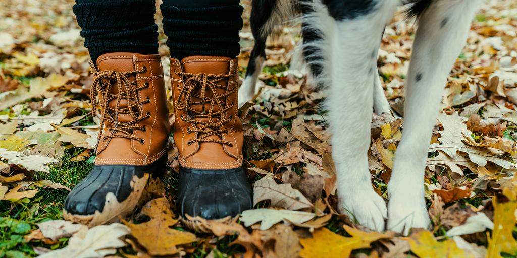 Wandern mit Hund, © Evan Wise, Unsplash