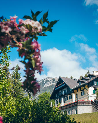 Außenansicht mit Blume, Hotel & Restaurant Knappenhof Außenansicht Hotel & Restaurant Knappenhof mit rosaroter Blume im Vordergrund