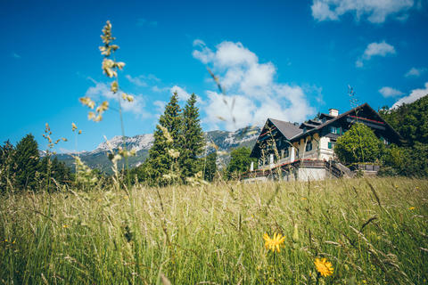 Außenansicht des Hotel & Restaurant Knappenhof aus der Ferne mit Wiesenblumen im Vordergrund