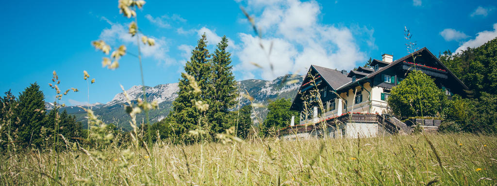 Außenansicht des Hotel & Restaurant Knappenhof aus der Ferne mit Wiesenblumen im Vordergrund